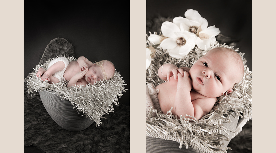 newbornshoot